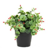 NIG705｜フェイクグリーンポット 人工観葉植物 ツゲ 直径15×高さ20cm