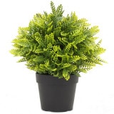 NIG710�åե��������꡼��ݥåȡ��͹����տ�ʪ���ܥ��ȥ�ե���ľ��15�߹⤵20cm