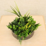 NIG801M�åե��������꡼��ե졼�ࡡ�͹����տ�ʪ��ľ��24�߹⤵23cm�����߸˸¤�