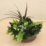 NIG802S�åե��������꡼��ե졼�ࡡ�͹����տ�ʪ��ľ��22�߹⤵23cm�����߸˸¤�