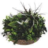 NIG802L�åե��������꡼��ե졼�ࡡ�͹����տ�ʪ��ľ��28�߹⤵23cm�����߸˸¤�