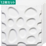 NDBGWA13BOXÿʪ3Dѥͥ롡3Dܡɡ̵500500mm12硡̸