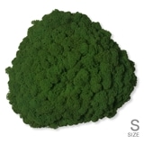 NMS200G26���̲��ݥ���ƥꥢ������⥹����������S���������꡼�ե��꡼��260��270��100mm�����߸˸¤� ���������Ӹ���