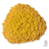 NMS200Y10���̲��ݥ���ƥꥢ������⥹����������S���������ե����륤��������260��270��100mm�����߸˸¤� ���������Ӹ���