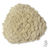 NMS200N00���̲��ݥ���ƥꥢ������⥹����������S���������ʥ����롡260��270��100mm�����߸˸¤� ���������Ӹ���