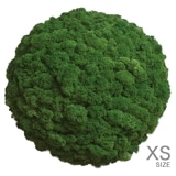 NMS300G26���̲��ݥ���ƥꥢ������⥹���ܡ���XS���������꡼�ե��꡼��ľ��230mm�����߸˸¤� ���������Ӹ���