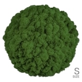 NMS301G26���̲��ݥ���ƥꥢ������⥹���ܡ���S���������꡼�ե��꡼��ľ��330mm�����߸˸¤� ���������Ӹ���