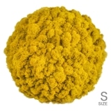 NMS301Y10���̲��ݥ���ƥꥢ������⥹���ܡ���S���������ե����륤��������ľ��330mm�����߸˸¤� ���������Ӹ���