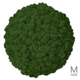 NMS302G26���̲��ݥ���ƥꥢ������⥹���ܡ���M���������꡼�ե��꡼��ľ��370mm�����߸˸¤� ���������Ӹ���