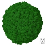 NMS302G35���̲��ݥ���ƥꥢ������⥹���ܡ���M�����������åץ륰�꡼��ľ��370mm�����߸˸¤� ���������Ӹ���