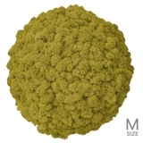 NMS302G13���̲��ݥ���ƥꥢ������⥹���ܡ���M���������饤�॰�꡼��ľ��370mm�����߸˸¤� ���������Ӹ���