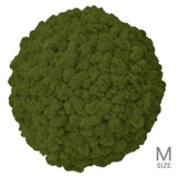 NMS302G16���̲��ݥ���ƥꥢ������⥹���ܡ���M�����������꡼�֥��꡼��ľ��370mm�����߸˸¤� ���������Ӹ���