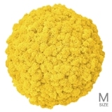 NMS302Y06���̲��ݥ���ƥꥢ������⥹���ܡ���M������������������ľ��370mm�����߸˸¤� ���������Ӹ���