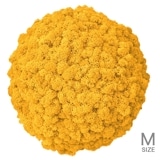 NMS302Y10���̲��ݥ���ƥꥢ������⥹���ܡ���M���������ե����륤��������ľ��370mm�����߸˸¤� ���������Ӹ���