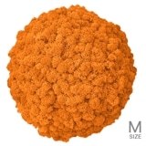 NMS302R66���̲��ݥ���ƥꥢ������⥹���ܡ���M������������󥸡�ľ��370mm�����߸˸¤� ���������Ӹ���