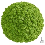 NMS303G15���̲��ݥ���ƥꥢ������⥹���ܡ���L���������ᥤ���꡼��ľ��600mm�����߸˸¤� ���������Ӹ���