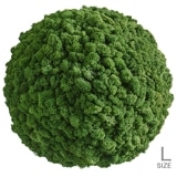 NMS303G26���̲��ݥ���ƥꥢ������⥹���ܡ���L���������꡼�ե��꡼��ľ��600mm�����߸˸¤� ���������Ӹ���