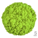 NMS301G15���̲��ݥ���ƥꥢ������⥹���ܡ���S���������ᥤ���꡼��ľ��330mm�����߸˸¤� ���������Ӹ���