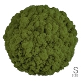 NMS301G16���̲��ݥ���ƥꥢ������⥹���ܡ���S�����������꡼�֥��꡼��ľ��330mm�����߸˸¤� ���������Ӹ���