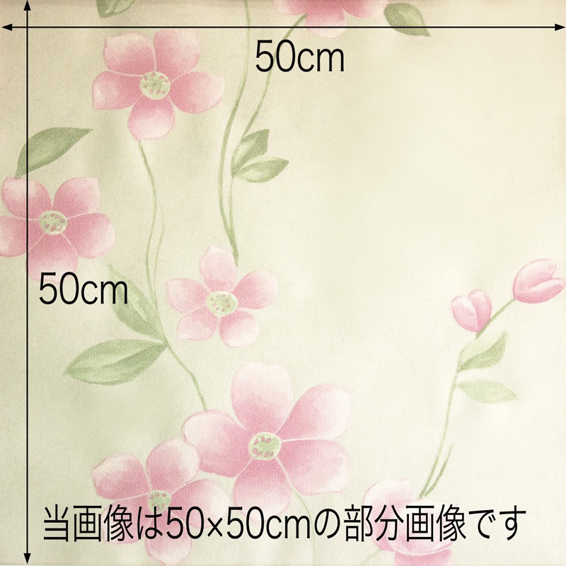 NWP012ɻ桡ȥ53cm10߸˸¤