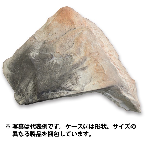 39%ȥåȡN-JG12Cå֥å롡1Ȣ߸˸¤ꡡӸ