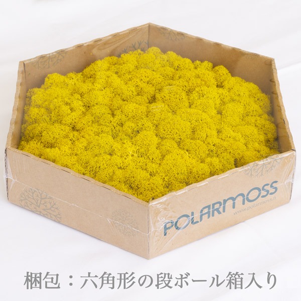 NMS400Y06���̲��ݥ���ƥꥢ������⥹��ϻ�ѷ�������������270��230��50mm