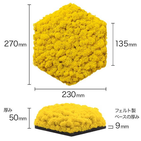 NMS400Y06���̲��ݥ���ƥꥢ������⥹��ϻ�ѷ�������������270��230��50mm