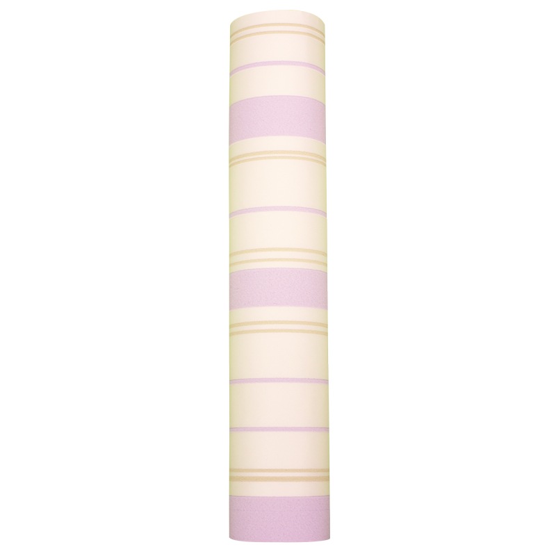 NWP020���ɻ桡������ȥ����������ȥ饤������53cm��10�������߸˸¤�
