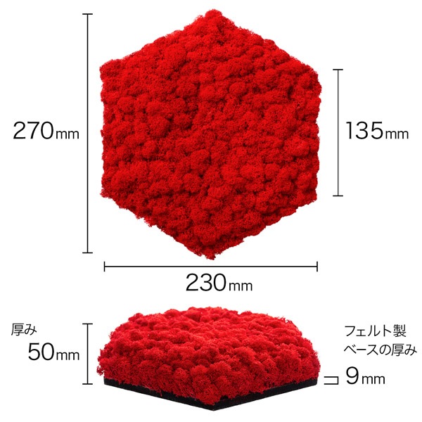 NMS400R11���̲��ݥ���ƥꥢ������⥹��ϻ�ѷ�����åɡ�270��230��50mm