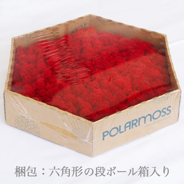 NMS400R11���̲��ݥ���ƥꥢ������⥹��ϻ�ѷ�����åɡ�270��230��50mm