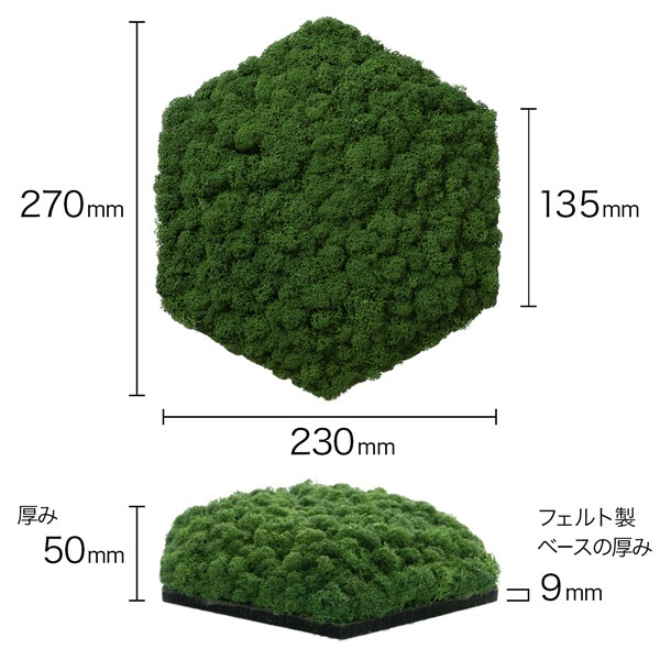 NMS400G26���̲��ݥ���ƥꥢ������⥹��ϻ�ѷ����꡼�ե��꡼��270��230��50mm