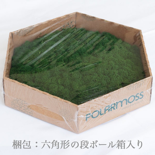 NMS400G26���̲��ݥ���ƥꥢ������⥹��ϻ�ѷ����꡼�ե��꡼��270��230��50mm