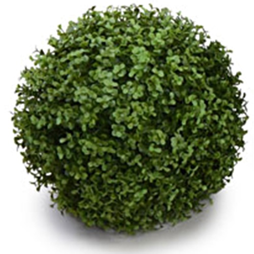 NIG601XS�åե��������꡼��ܡ��롡�͹����տ�ʪ���ĥ���ľ��21cm