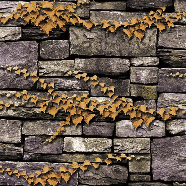 NWPS504B��3D�ɻ桡3D�����������ɤȿ�ʪ��53cm��10m