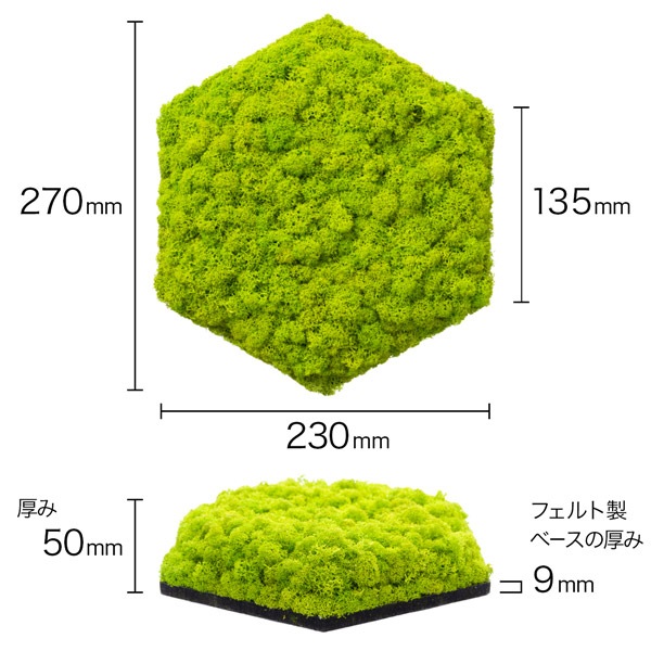 NMS400G15���̲��ݥ���ƥꥢ������⥹��ϻ�ѷ����ᥤ���꡼��270��230��50mm