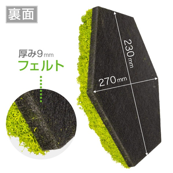 NMS400G15���̲��ݥ���ƥꥢ������⥹��ϻ�ѷ����ᥤ���꡼��270��230��50mm