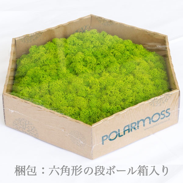 NMS400G15���̲��ݥ���ƥꥢ������⥹��ϻ�ѷ����ᥤ���꡼��270��230��50mm