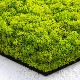 NMS400G15���̲��ݥ���ƥꥢ������⥹��ϻ�ѷ����ᥤ���꡼��270��230��50mm