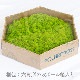 NMS400G15���̲��ݥ���ƥꥢ������⥹��ϻ�ѷ����ᥤ���꡼��270��230��50mm