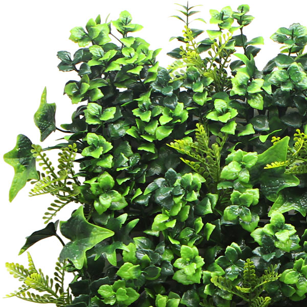 NIG256�åե��������꡼�󥦥����롡�͹����տ�ʪ���ȥ��ԥ��롡50��50cm