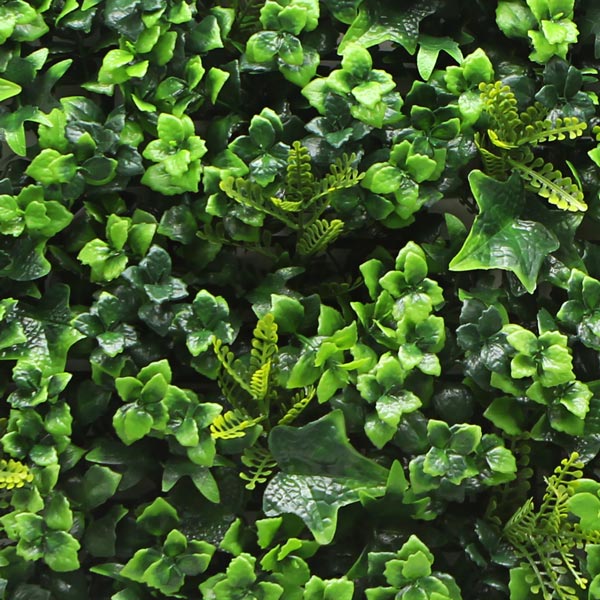 NIG256�åե��������꡼�󥦥����롡�͹����տ�ʪ���ȥ��ԥ��롡50��50cm