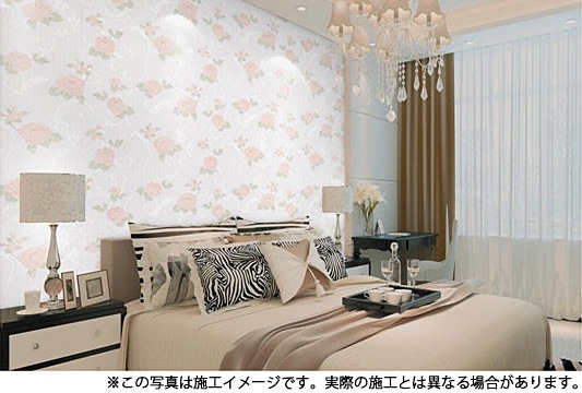 NWP001ɻ桡ȥ53cm10߸˸¤