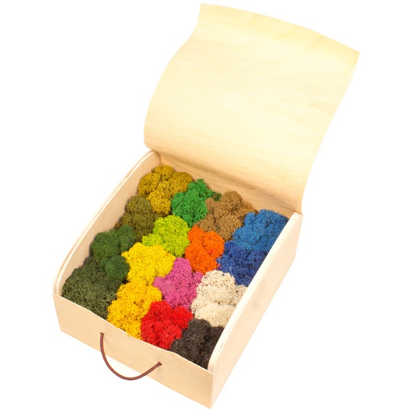 NMSBOX001���̲��ݥ���ƥꥢBOX������⥹