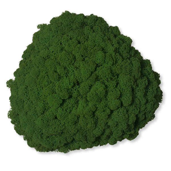 NMS200G26���̲��ݥ���ƥꥢ������⥹����������S���������꡼�ե��꡼��260��270��100mm�����߸˸¤� ���������Ӹ���