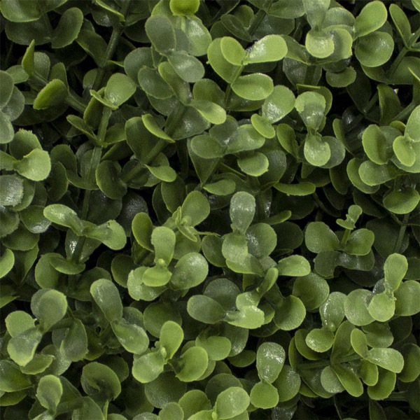 NIG601XL�åե��������꡼��ܡ��롡�͹����տ�ʪ���ĥ���ľ��55cm