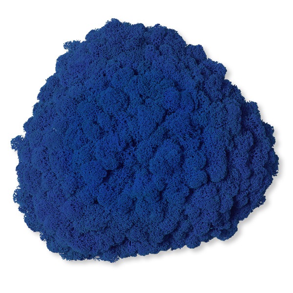 NMS200M03���̲��ݥ���ƥꥢ������⥹����������S���������ޥ��260��270��100mm�����߸˸¤� ���������Ӹ���