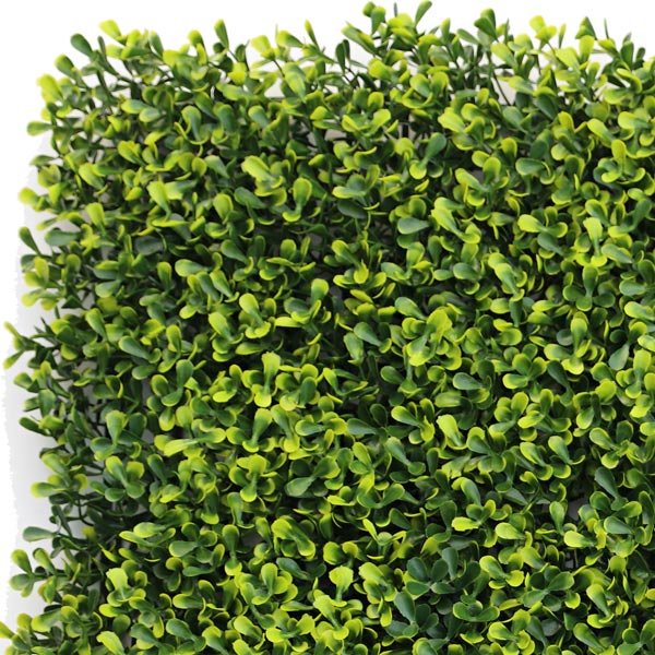 NIG104�åե��������꡼�󥦥����롡�͹����տ�ʪ��Pittoso��100��100cm