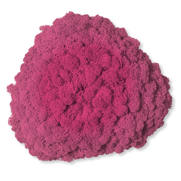 NMS200F45���̲��ݥ���ƥꥢ������⥹����������S���������ե����㡡260��270��100mm�����߸˸¤� ���������Ӹ���