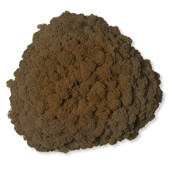 NMS200B85���̲��ݥ���ƥꥢ������⥹����������S���������֥饦��260��270��100mm�����߸˸¤� ���������Ӹ���