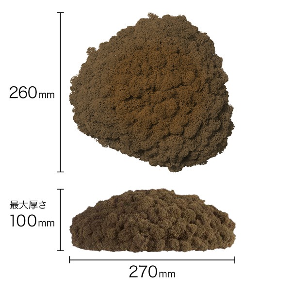 NMS200B85���̲��ݥ���ƥꥢ������⥹����������S���������֥饦��260��270��100mm�����߸˸¤� ���������Ӹ���